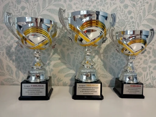 Puchar sportowy w srebrnym kolorze, realne zdjęcie z personalizowanymi tabliczkami