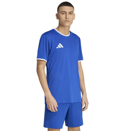 Koszulka męska adidas w niebieskim kolorze